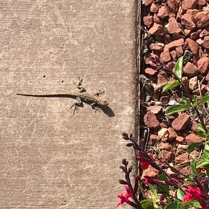 Meet your Posher, Cathy